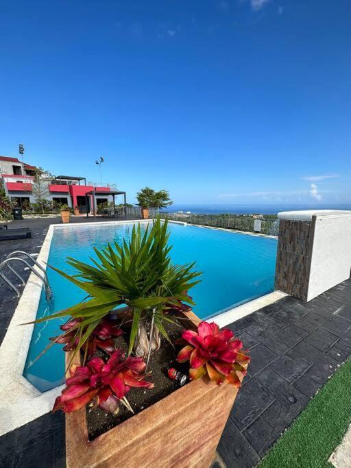 Casa Bella Vista @ Pyramid Point Villa Ocho Rios Eksteriør billede